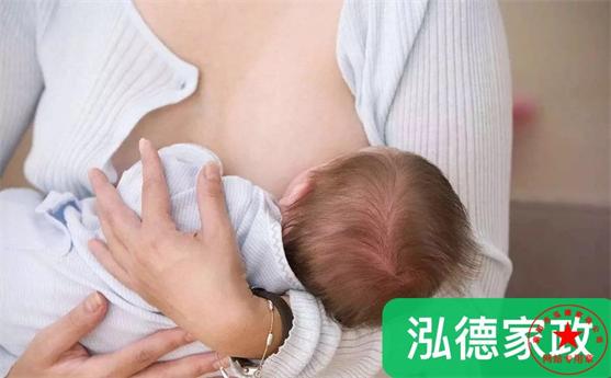 產婦堵奶,南陽,月嫂公司哪家好?